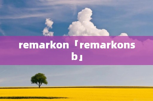 remarkon「remarkonsb」