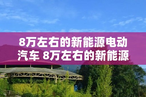 8万左右的新能源电动汽车 8万左右的新能源电动汽车哪款能跑网约车 8万左右的新能源电动汽车 8万左右的新能源电动汽车哪款能跑网约车
