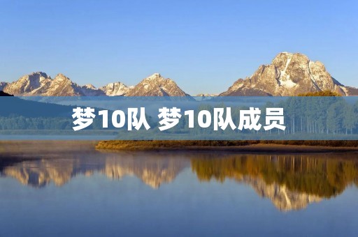 梦10队 梦10队成员 梦10队 梦10队成员