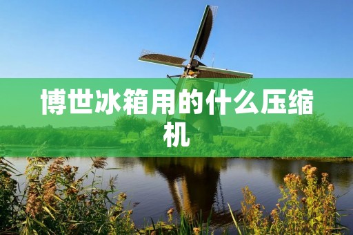 博世冰箱用的什么压缩机