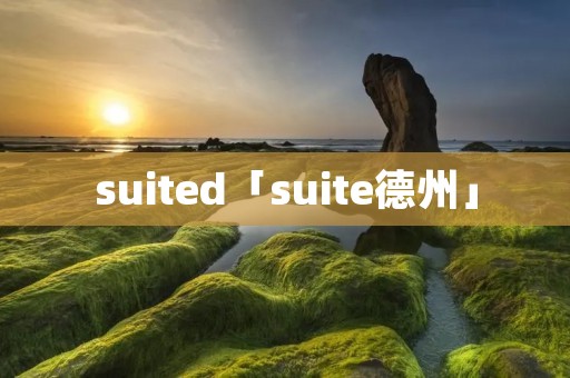 suited「suite德州」