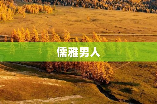 儒雅男人:传统韵味与现代风采的完美结合