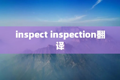 inspect inspection翻译