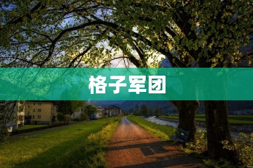 格子军团:创新与**的结合 格子军团:创新与**的结合