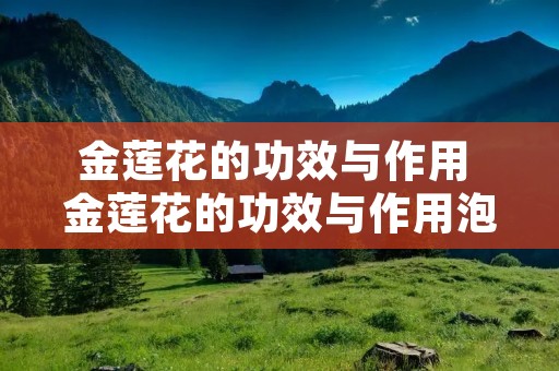 金莲花的功效与作用 金莲花的功效与作用泡水喝的功效
