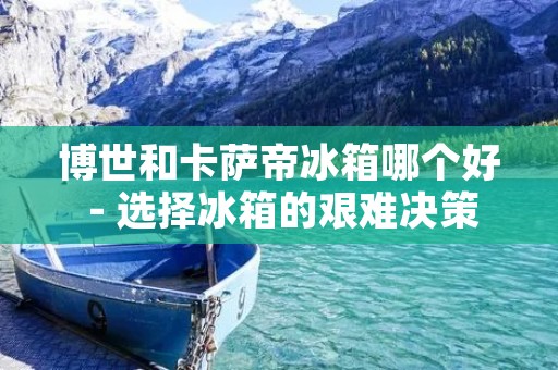 博世和卡萨帝冰箱哪个好 - 选择冰箱的艰难决策 博世和卡萨帝冰箱哪个好 - 选择冰箱的艰难决策