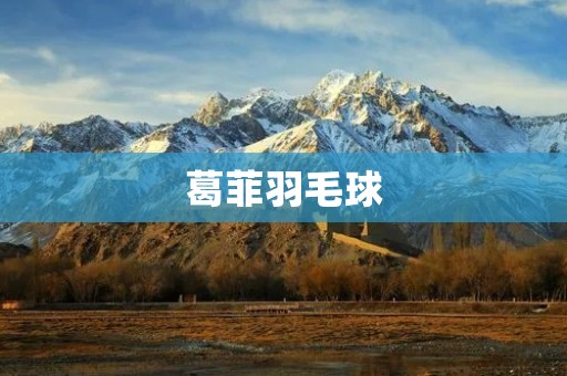 葛菲羽毛球：突破传统的羽毛球运动