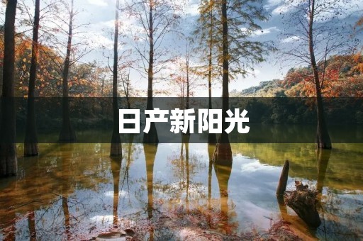 日产新阳光：焕新时代的灿烂之光