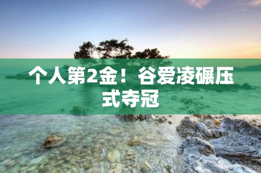 个人第2金!谷爱凌碾压式夺冠 个人第2金!谷爱凌碾压式夺冠