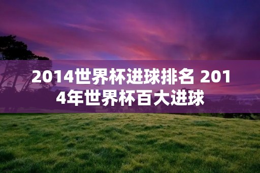 2014世界杯进球排名 2014年世界杯百大进球