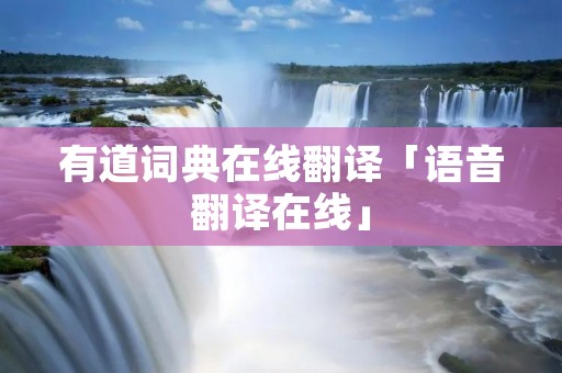 有道词典在线翻译「语音翻译在线」