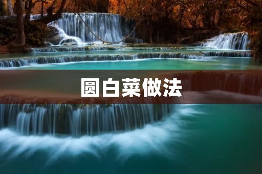 圆白菜做法：营养丰富，味道鲜美的家常美食