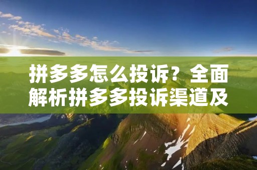 拼多多怎么投诉?全面解析拼多多投诉渠道及注意事项 拼多多怎么投诉?全面解析拼多多投诉渠道及注意事项