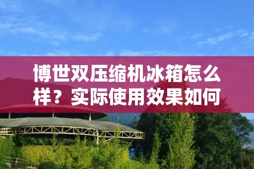 博世双压缩机冰箱怎么样？实际使用效果如何？下面将为大家做一个详细的介绍和评价。