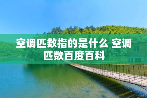 空调匹数指的是什么 空调匹数百度百科
