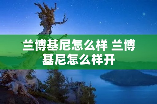 兰博基尼怎么样 兰博基尼怎么样开 兰博基尼怎么样 兰博基尼怎么样开