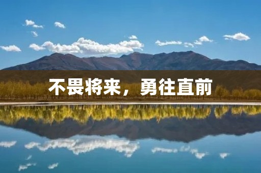 不畏将来,勇往直前