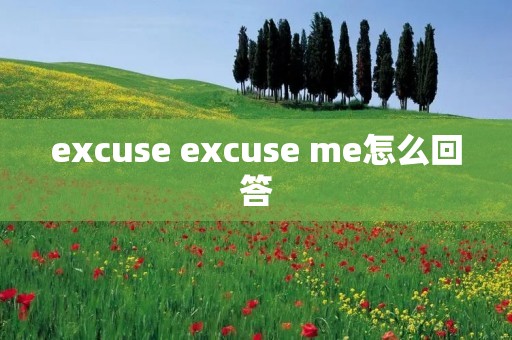 excuse excuse me怎么回答