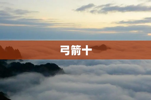 弓箭十：探寻古老武器的魅力与演变