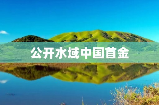 公开水域中国首金：探索中国水域资源的开放与发展