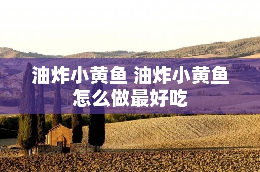 油炸小黄鱼 油炸小黄鱼怎么做最好吃 油炸小黄鱼 油炸小黄鱼怎么做最好吃