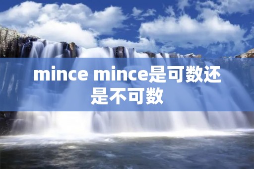 mince mince是可数还是不可数