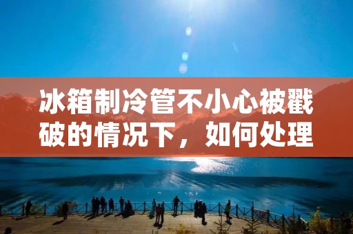 冰箱制冷管不小心被戳破的情况下,如何处理? 冰箱制冷管不小心被戳破的情况下,如何处理?