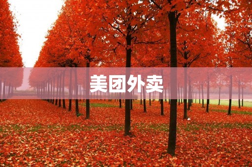 美团外卖:一键点餐,轻松享受美食盛宴