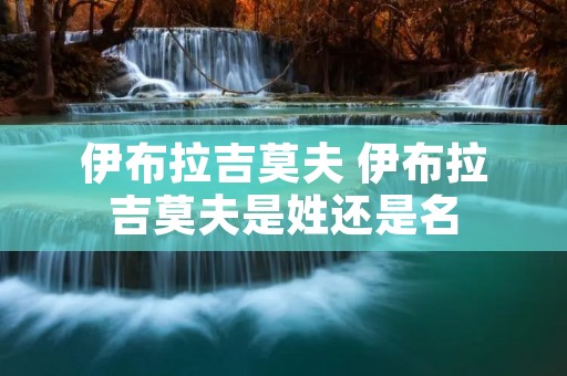 伊布拉吉莫夫 伊布拉吉莫夫是姓还是名