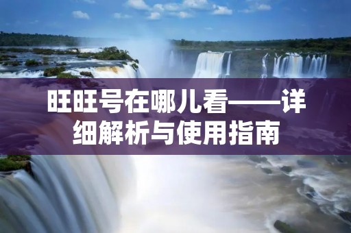 旺旺号在哪儿看——详细解析与使用指南
