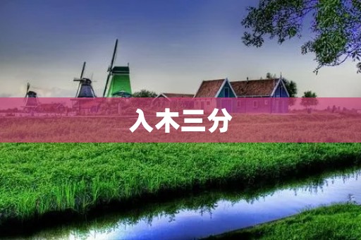 入木三分:诠释细节的力量