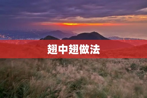 翅中翅做法:酥脆可口的美味享受 翅中翅做法:酥脆可口的美味享受