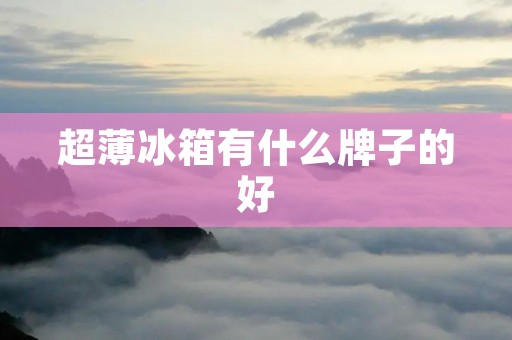 超薄冰箱有什么牌子的好