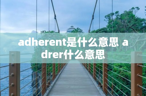 adherent是什么意思 adrer什么意思