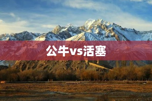 公牛vs活塞:一场激烈对决的细腻较量 公牛vs活塞:一场激烈对决的细腻较量
