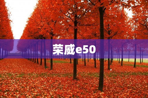 荣威e50:纯电动小型车的新选择 荣威e50:纯电动小型车的新选择
