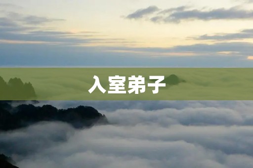 入室弟子:传承与成长