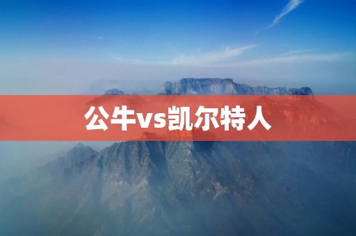 公牛vs凯尔特人：一场火爆的对决