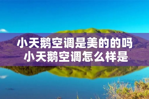 小天鹅空调是美的的吗 小天鹅空调怎么样是不是美的生产的