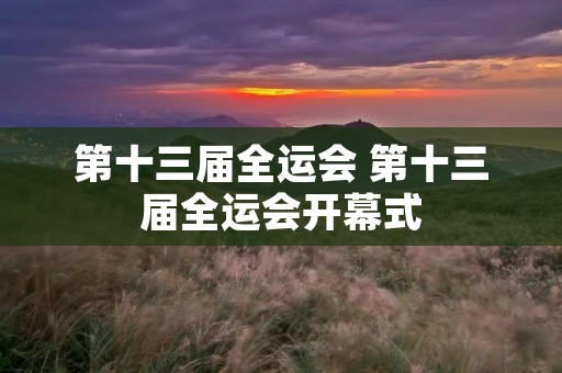 第十三届全运会 第十三届全运会开幕式