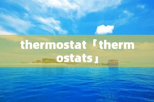 thermostat「thermostats」