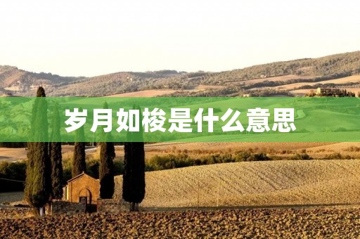 岁月如梭是什么意思：探讨时间的流逝与人生的变迁