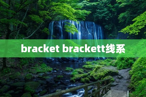 bracket brackett线系
