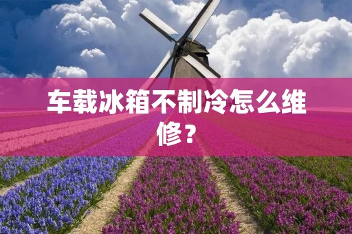 车载冰箱不制冷怎么维修? 车载冰箱不制冷怎么维修?