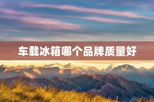 车载冰箱哪个品牌质量好