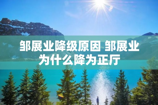 邹展业降级原因 邹展业为什么降为正厅