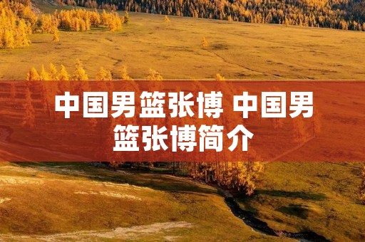 中国男篮张博 中国男篮张博简介