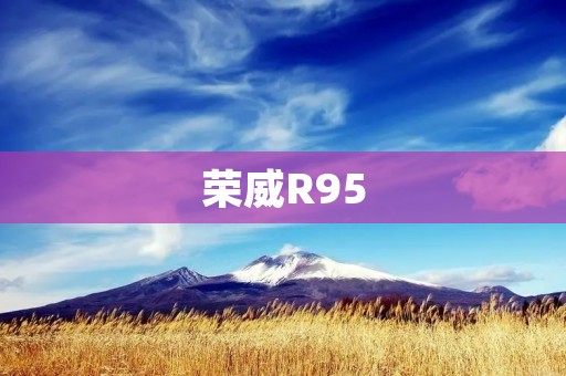 荣威R95：豪华电动轿车的新选择