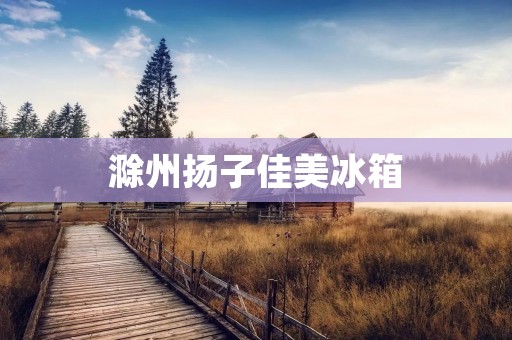 滁州扬子佳美冰箱：品质与创新的完美结合