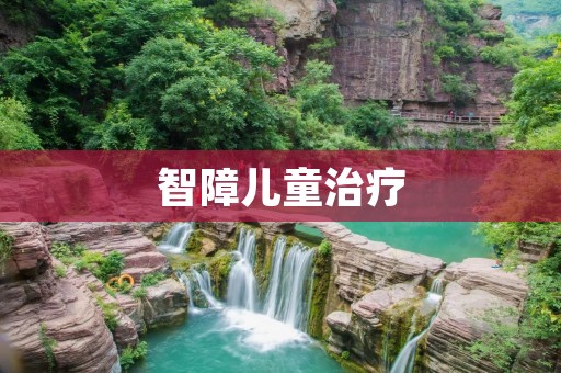 智障儿童治疗:关注与帮助他们健康成长的重要举措